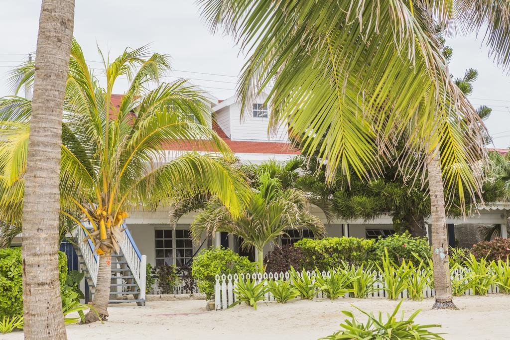 Casa Brisa Guest House San Pedro  Exterior foto